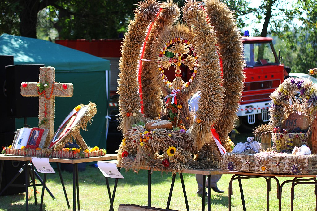 Mieszkańcy gminy Ruja bawią sie na dożynkach w Tyńcu