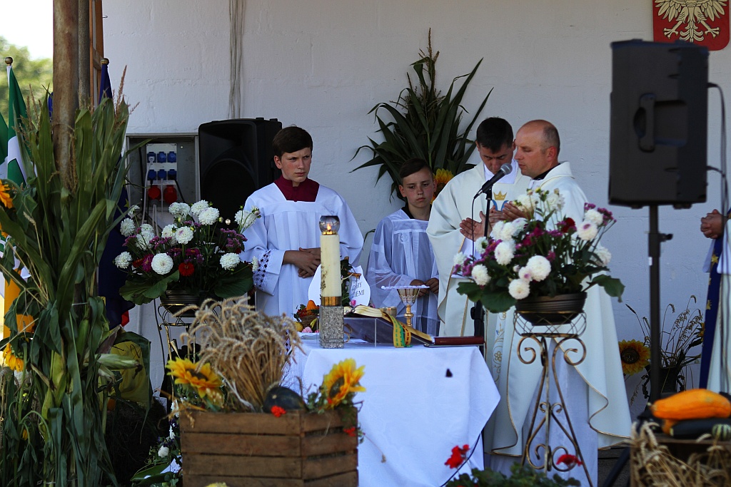 Mieszkańcy gminy Ruja bawią sie na dożynkach w Tyńcu