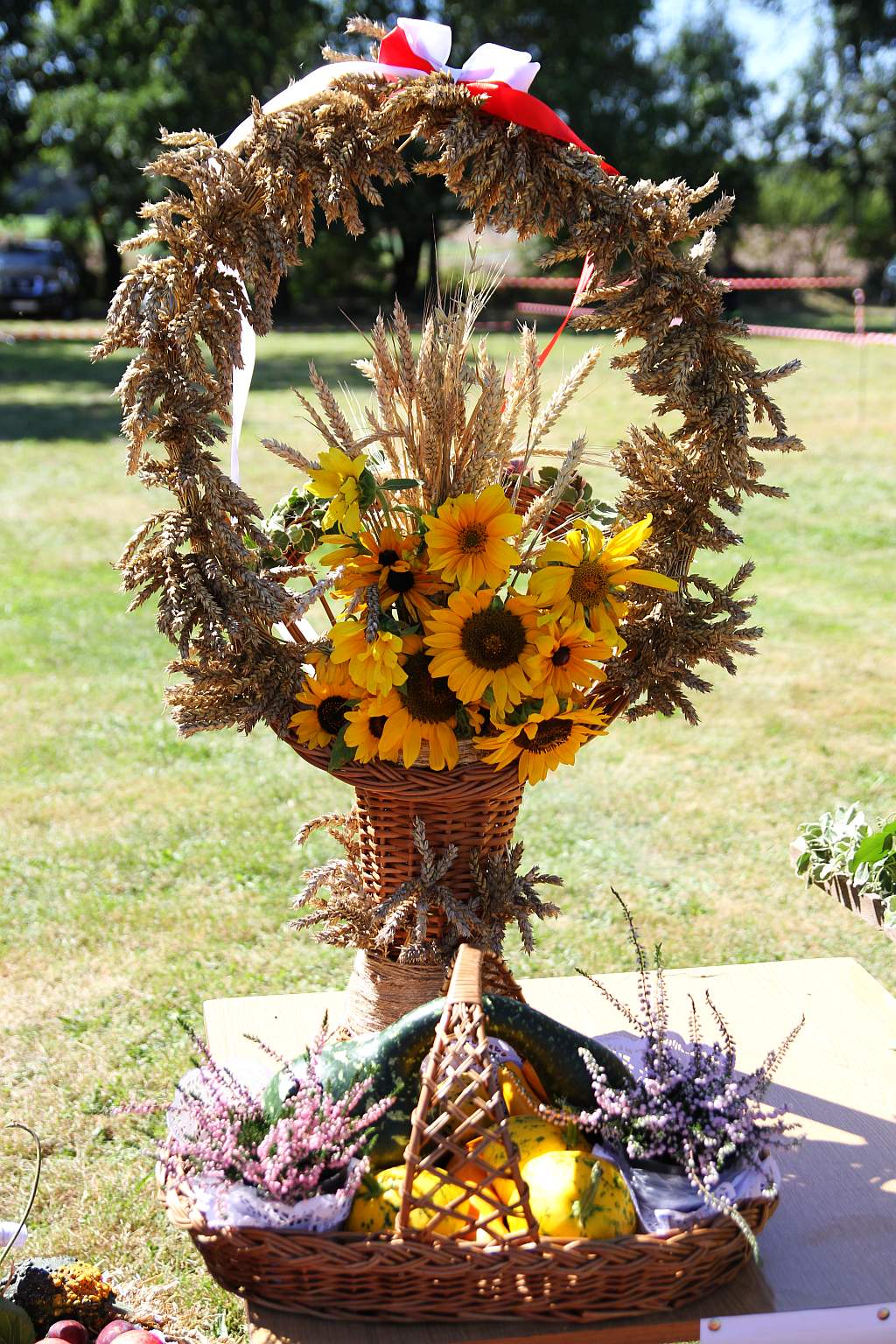 Mieszkańcy gminy Ruja bawią sie na dożynkach w Tyńcu