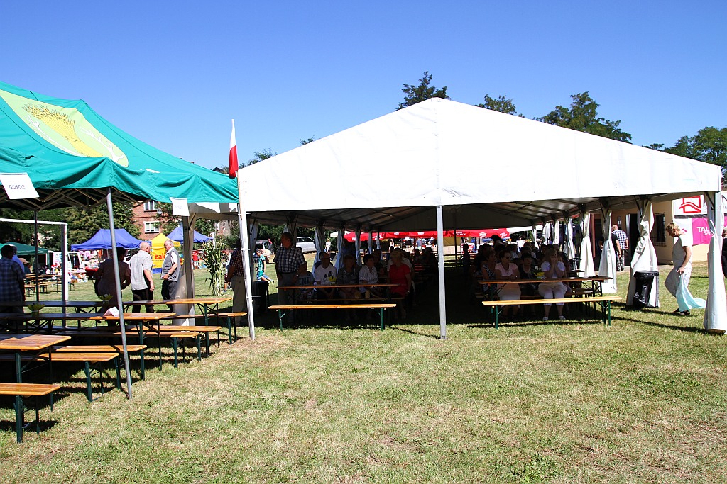 Mieszkańcy gminy Ruja bawią sie na dożynkach w Tyńcu