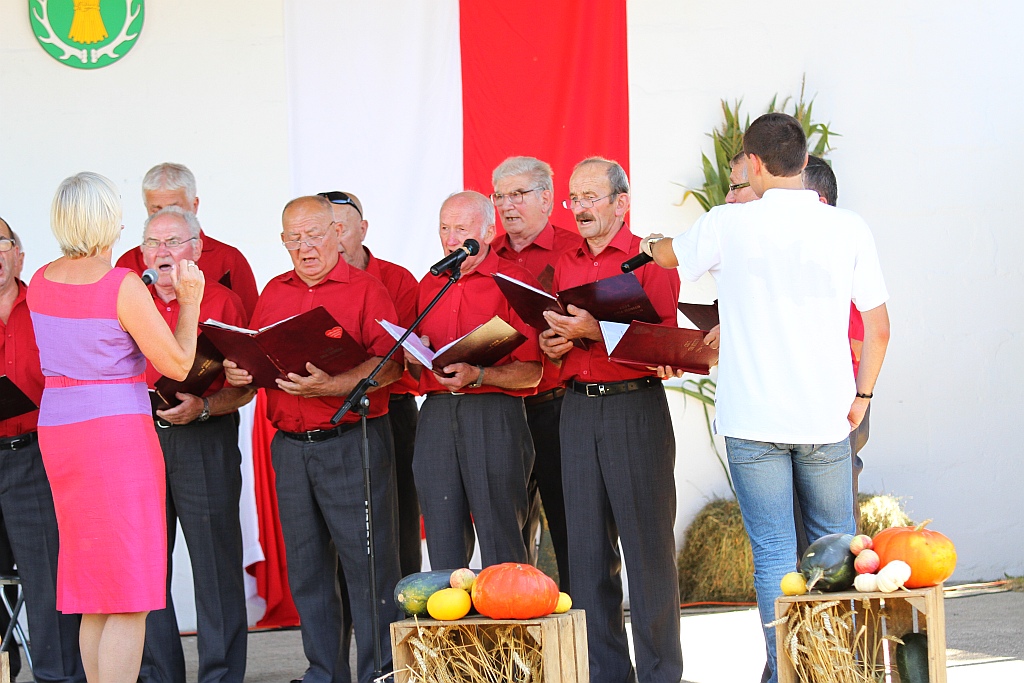Mieszkańcy gminy Ruja bawią sie na dożynkach w Tyńcu