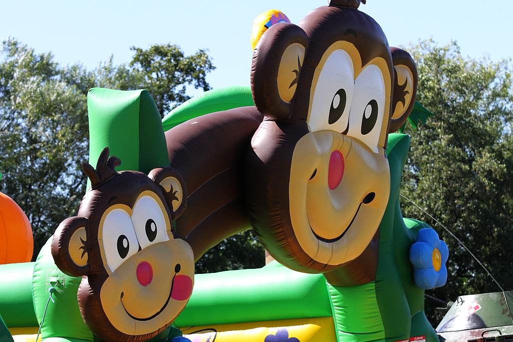 Mieszkańcy gminy Ruja bawią sie na dożynkach w Tyńcu