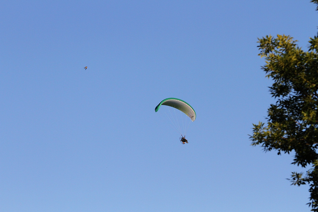 Mieszkańcy gminy Ruja bawią sie na dożynkach w Tyńcu