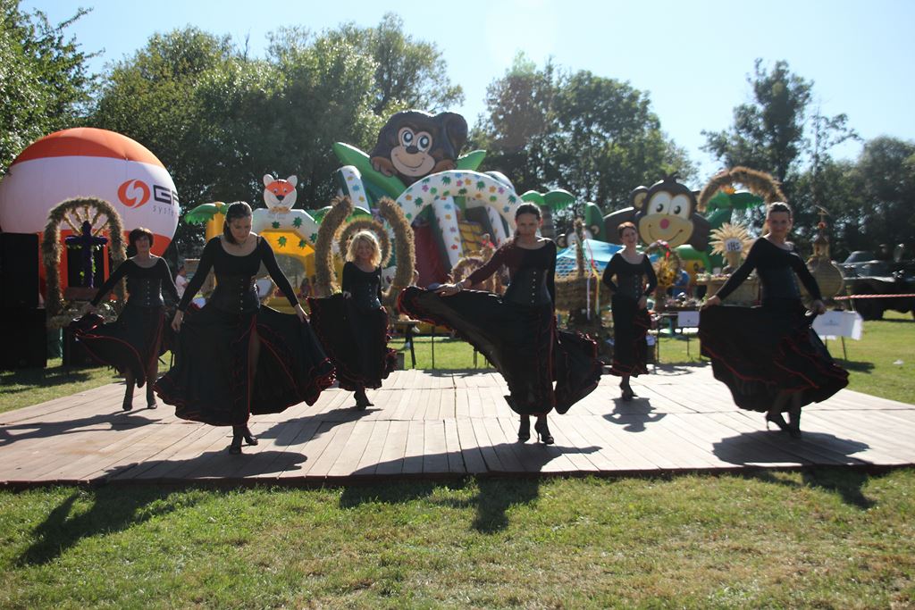Mieszkańcy gminy Ruja bawią sie na dożynkach w Tyńcu