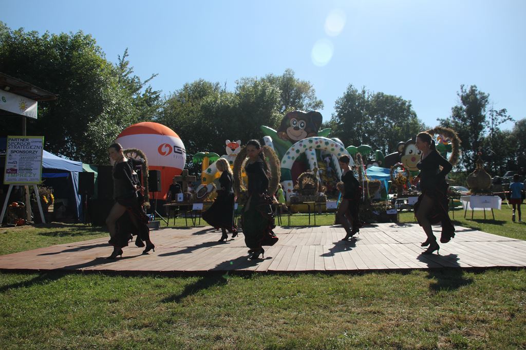 Mieszkańcy gminy Ruja bawią sie na dożynkach w Tyńcu