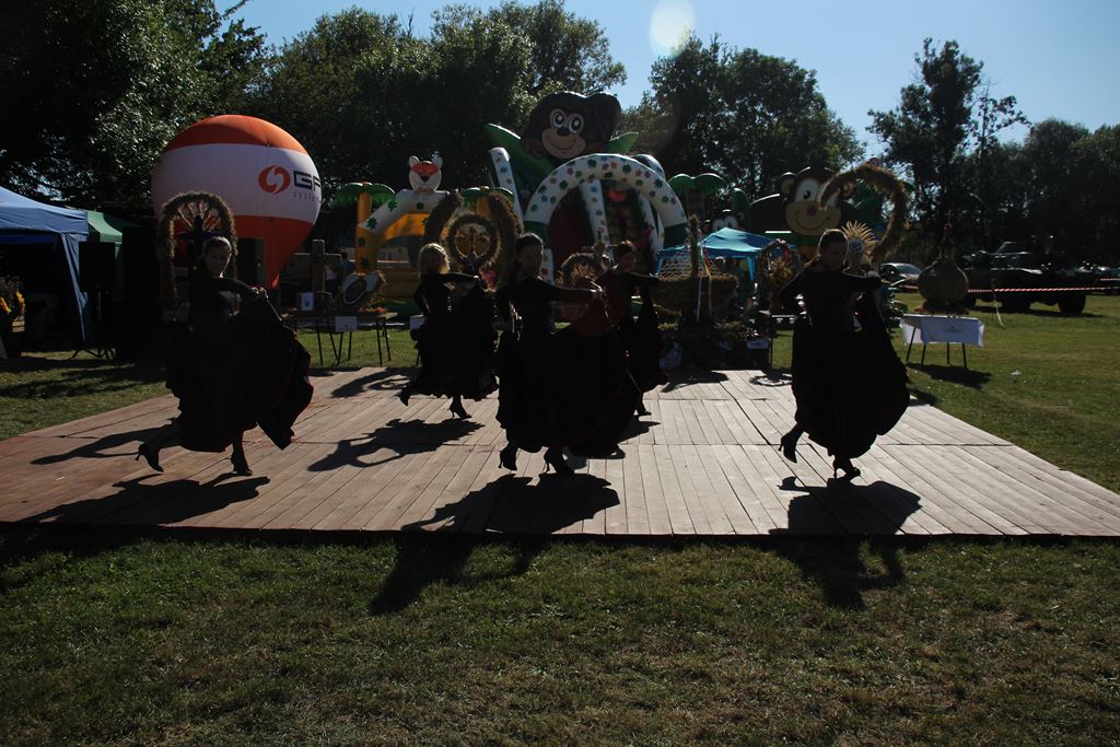 Mieszkańcy gminy Ruja bawią sie na dożynkach w Tyńcu