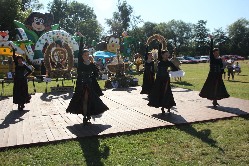 Mieszkańcy gminy Ruja bawią sie na dożynkach w Tyńcu