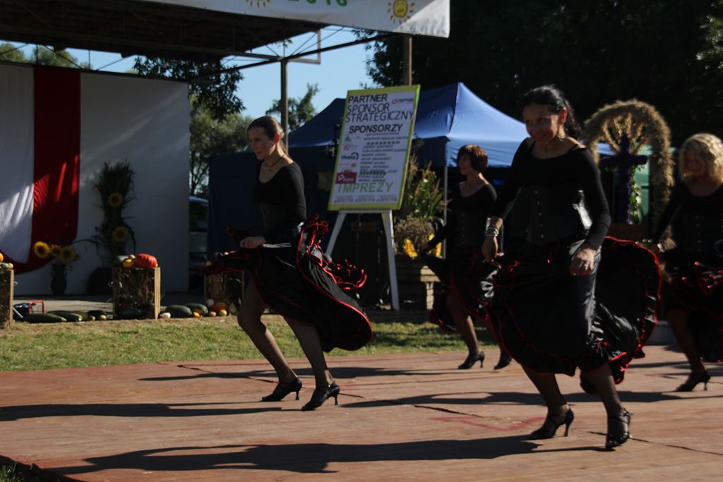 Mieszkańcy gminy Ruja bawią sie na dożynkach w Tyńcu