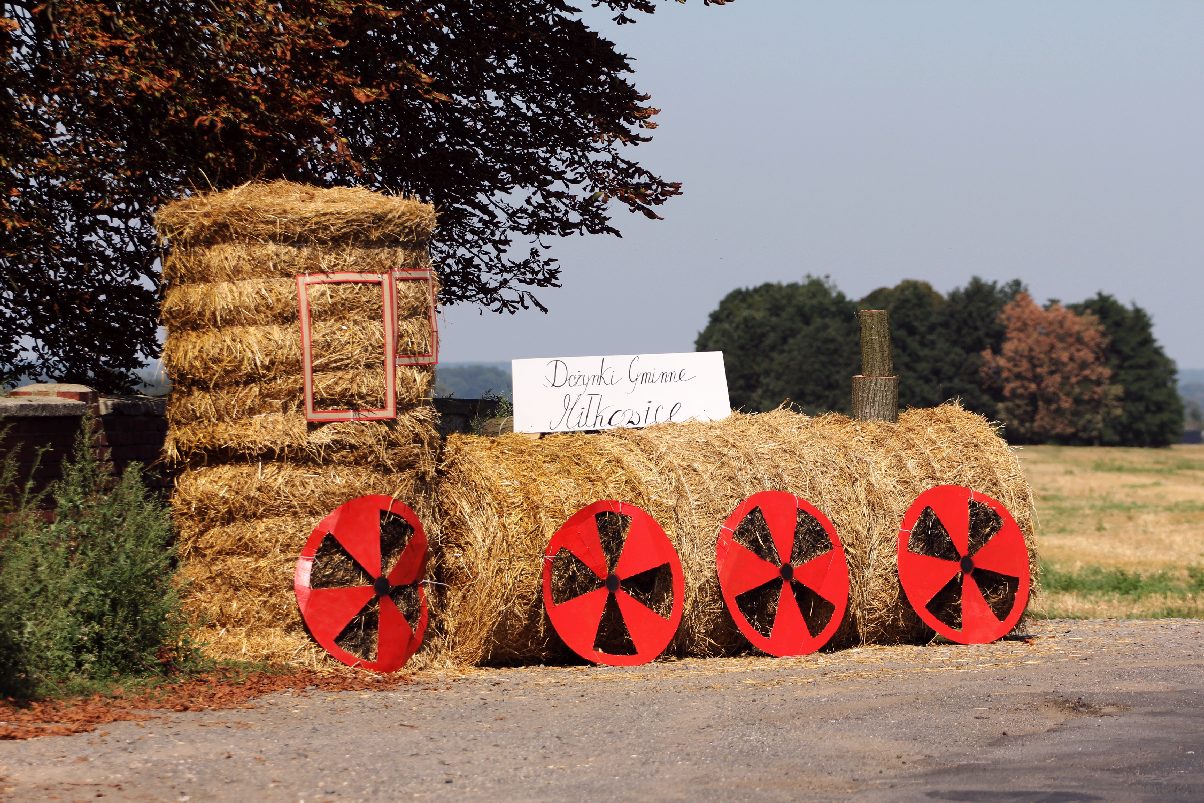Mieszkańcy gminy Miłkowice celebrują święto doroczne plonów