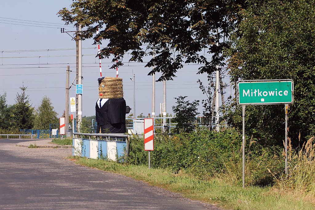 Mieszkańcy gminy Miłkowice celebrują święto doroczne plonów