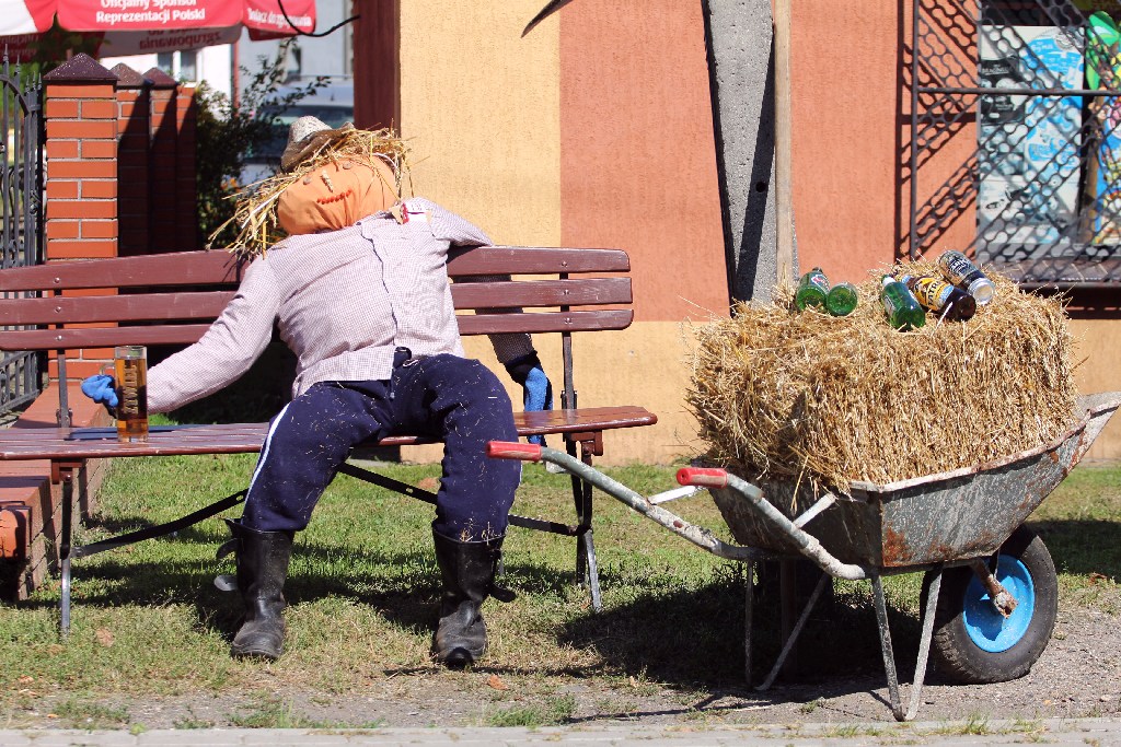 Mieszkańcy gminy Miłkowice celebrują święto doroczne plonów