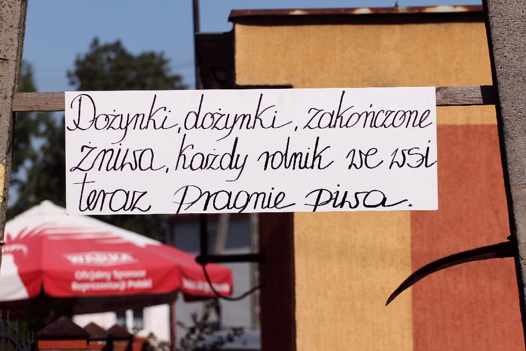 Mieszkańcy gminy Miłkowice celebrują święto doroczne plonów