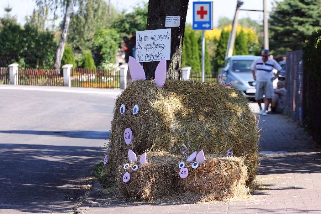 Mieszkańcy gminy Miłkowice celebrują święto doroczne plonów
