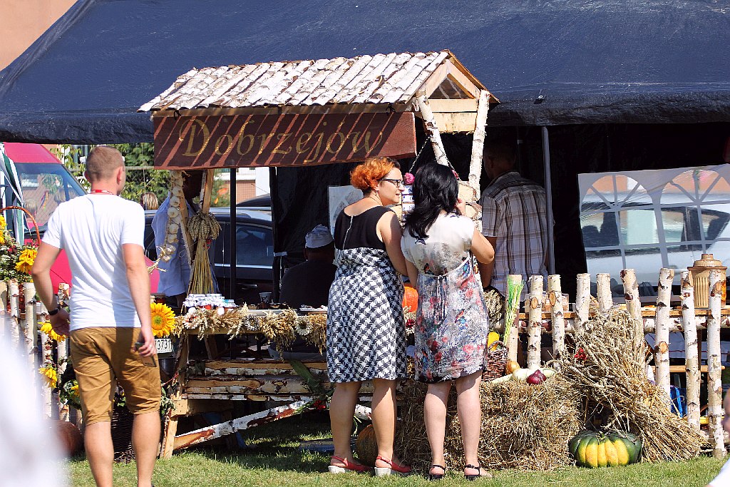 Mieszkańcy gminy Miłkowice celebrują święto doroczne plonów