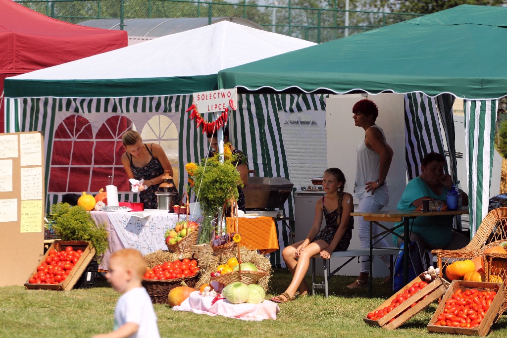Mieszkańcy gminy Miłkowice celebrują święto doroczne plonów