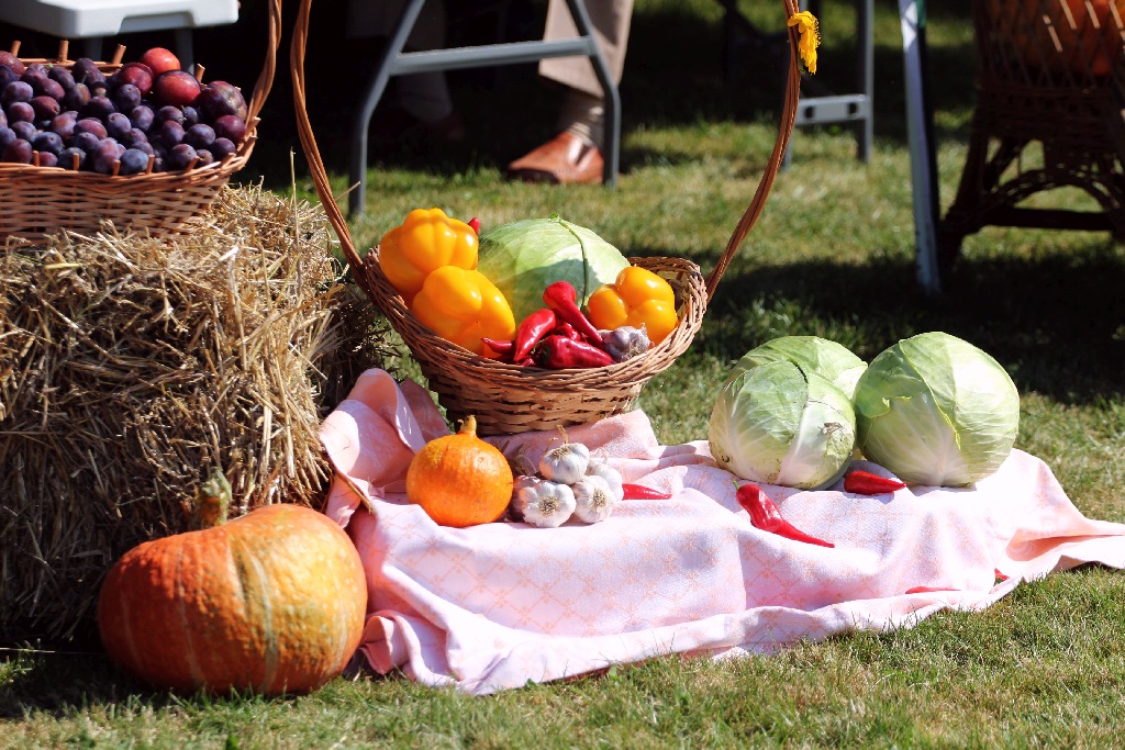 Mieszkańcy gminy Miłkowice celebrują święto doroczne plonów