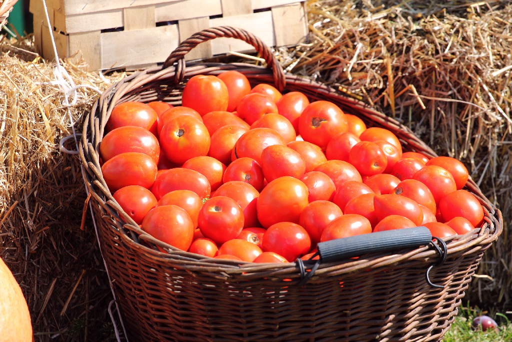 Mieszkańcy gminy Miłkowice celebrują święto doroczne plonów
