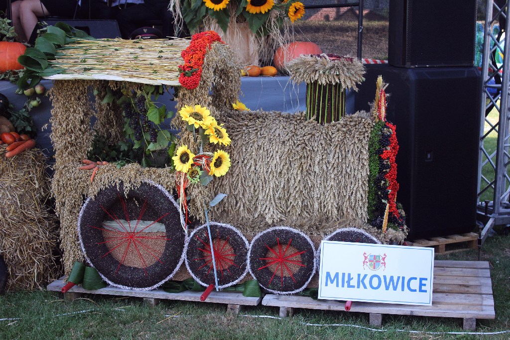 Mieszkańcy gminy Miłkowice celebrują święto doroczne plonów