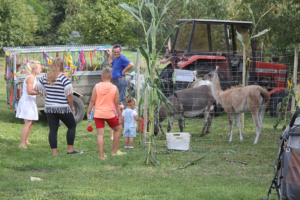 Mieszkańcy gminy Kunice bawią się na dożynkach gminnych