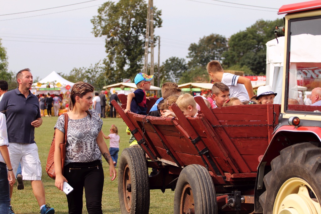 Mieszkańcy gminy Kunice bawią się na dożynkach gminnych