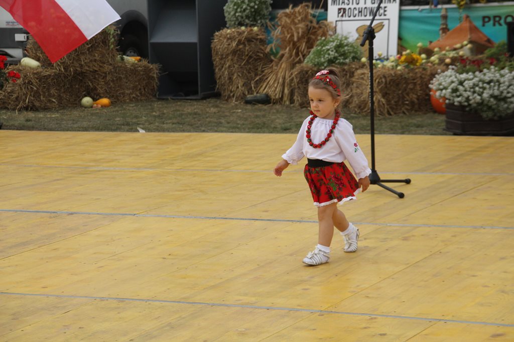 Mieszkańcy gminy Prochowice wspólnie bawili się na dożynkach
