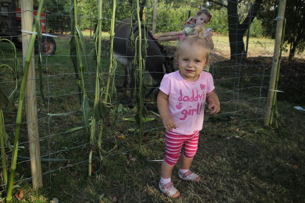 W Rosochatej mieszkańcy gminy Kunice bawili się do wieczora