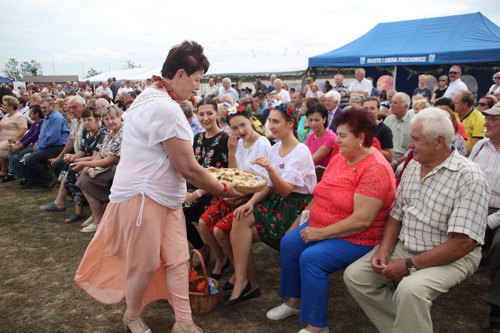 Mieszkańcy gminy Prochowice wspólnie bawili się na dożynkach