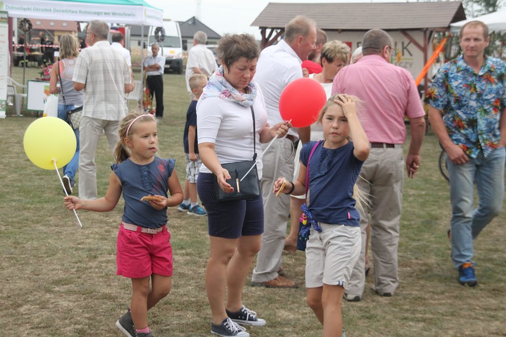 Mieszkańcy gminy Prochowice wspólnie bawili się na dożynkach
