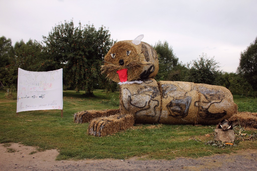Mieszkańcy gminy Krotoszyce wspólnie świętowali na dożynkach