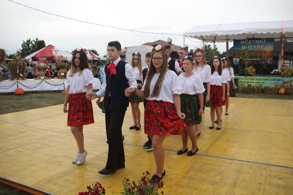 Mieszkańcy gminy Prochowice wspólnie bawili się na dożynkach