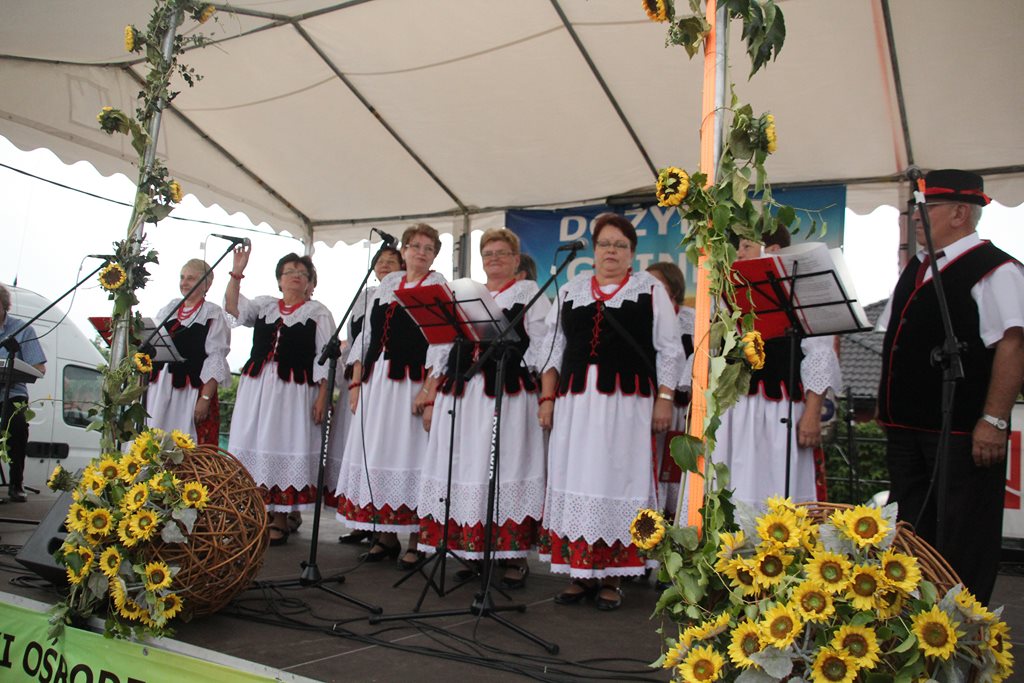 Mieszkańcy gminy Prochowice wspólnie bawili się na dożynkach