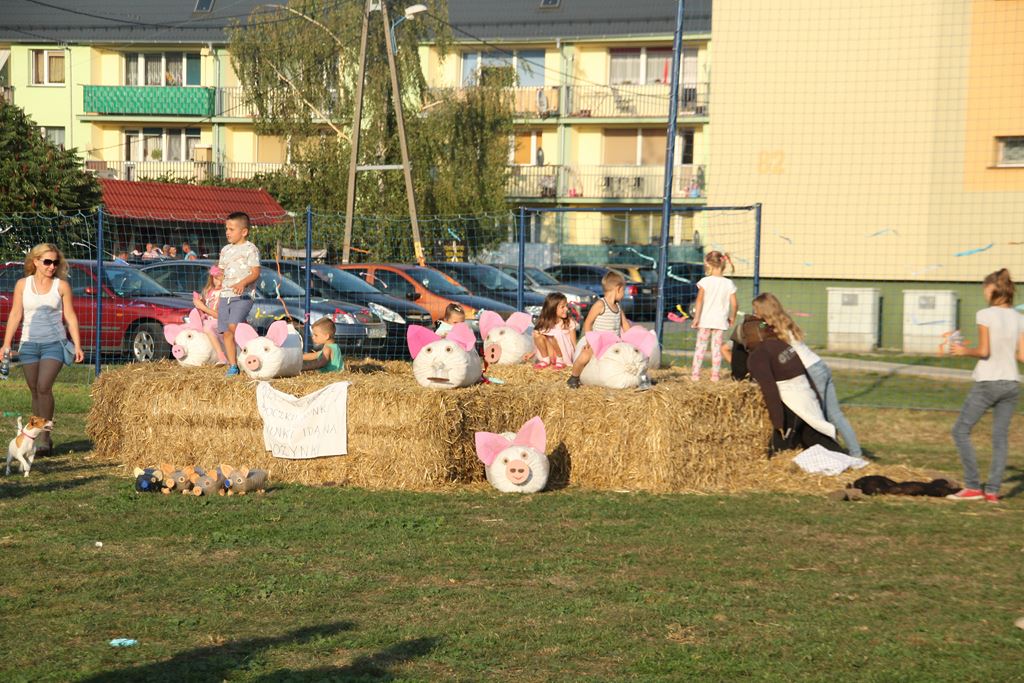 W Rosochatej mieszkańcy gminy Kunice bawili się do wieczora