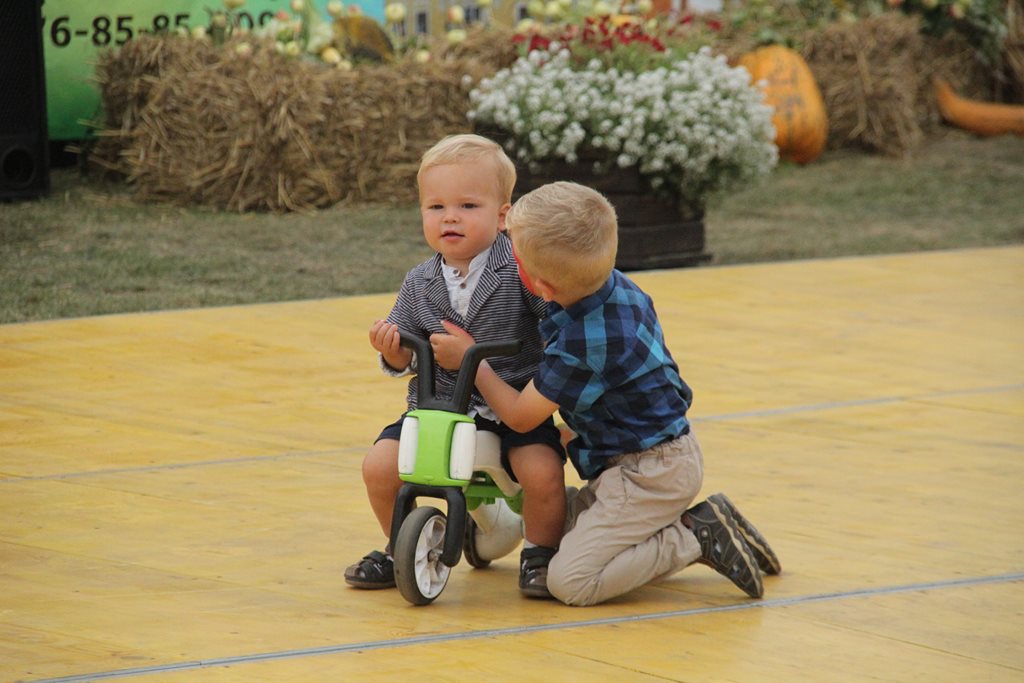 Mieszkańcy gminy Prochowice wspólnie bawili się na dożynkach
