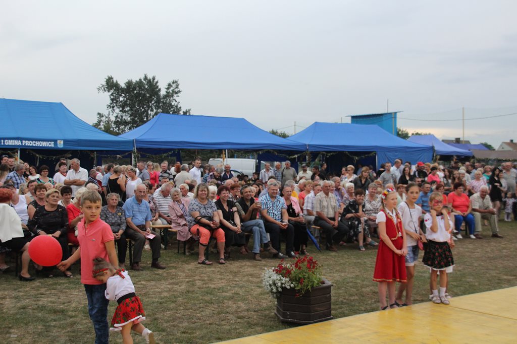 Mieszkańcy gminy Prochowice wspólnie bawili się na dożynkach
