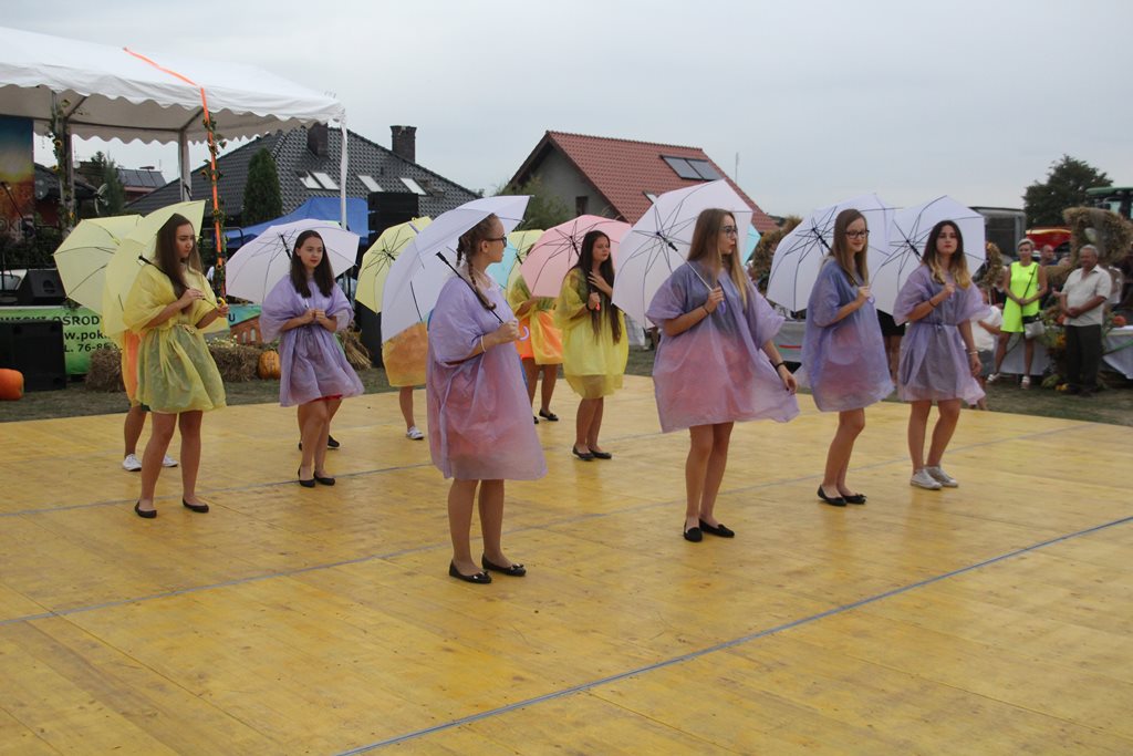 Mieszkańcy gminy Prochowice wspólnie bawili się na dożynkach