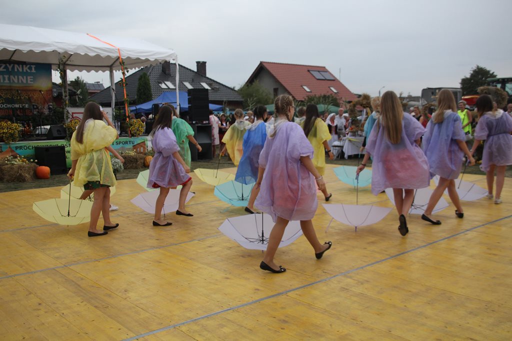 Mieszkańcy gminy Prochowice wspólnie bawili się na dożynkach