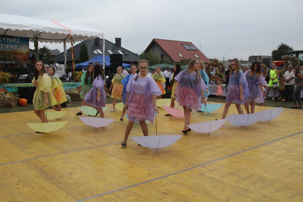 Mieszkańcy gminy Prochowice wspólnie bawili się na dożynkach