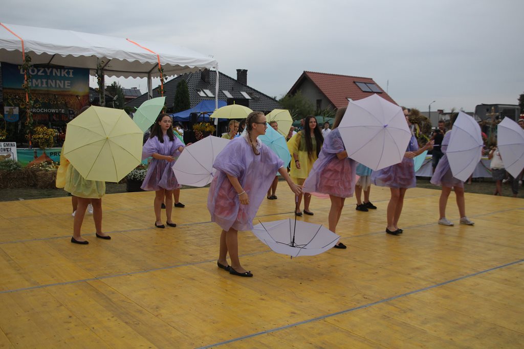 Mieszkańcy gminy Prochowice wspólnie bawili się na dożynkach
