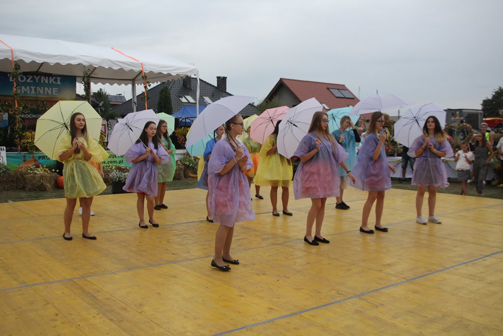 Mieszkańcy gminy Prochowice wspólnie bawili się na dożynkach