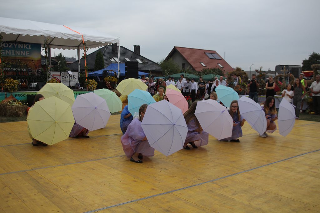 Mieszkańcy gminy Prochowice wspólnie bawili się na dożynkach