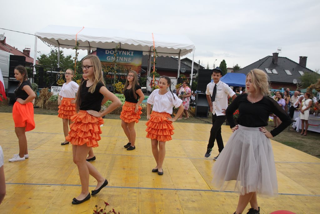 Mieszkańcy gminy Prochowice wspólnie bawili się na dożynkach