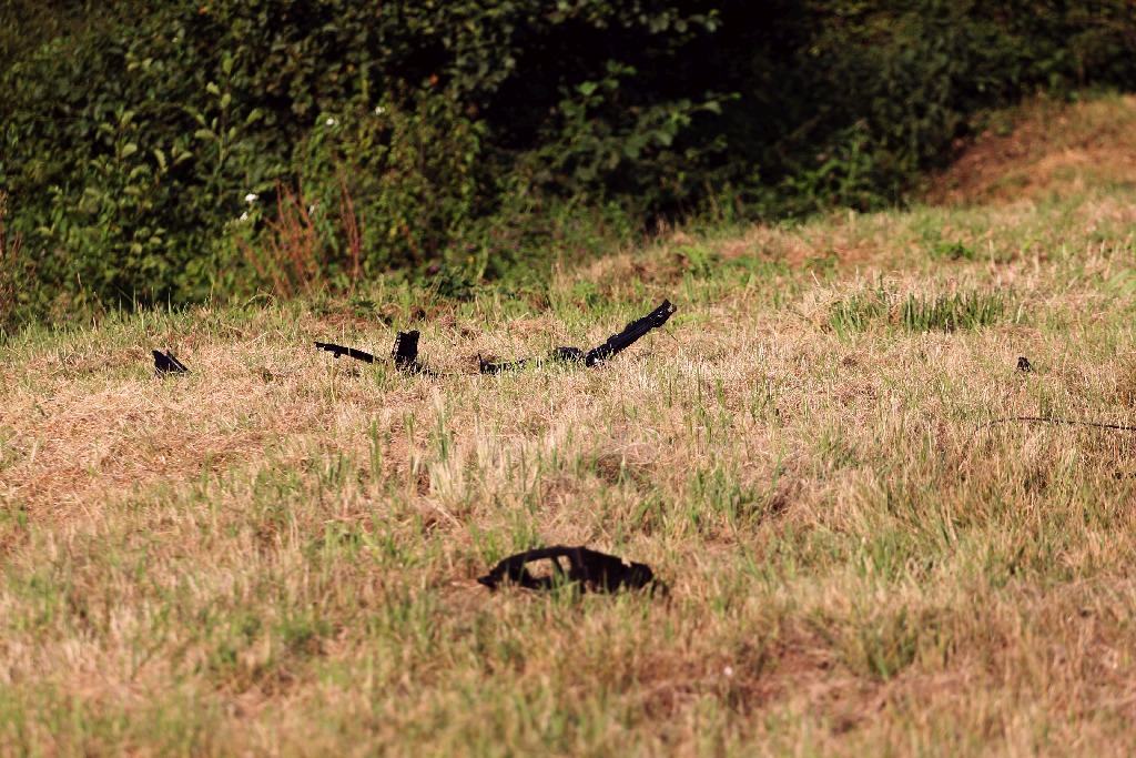 Trzy osoby ranne w wypadku. Na A4 dachował samochód