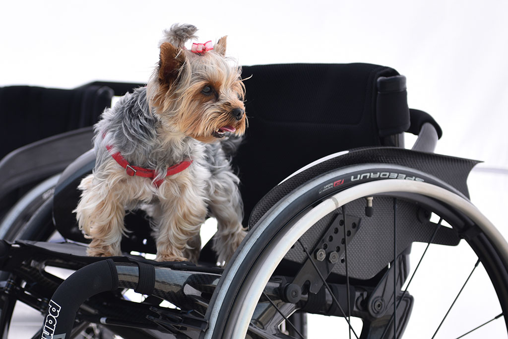 Na osiedlowym skateparku odbył się integracyjny happening