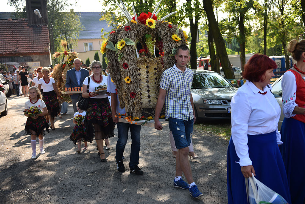 Mieszkańcy gminy Legnickie Pole bawili się na świecie plonów