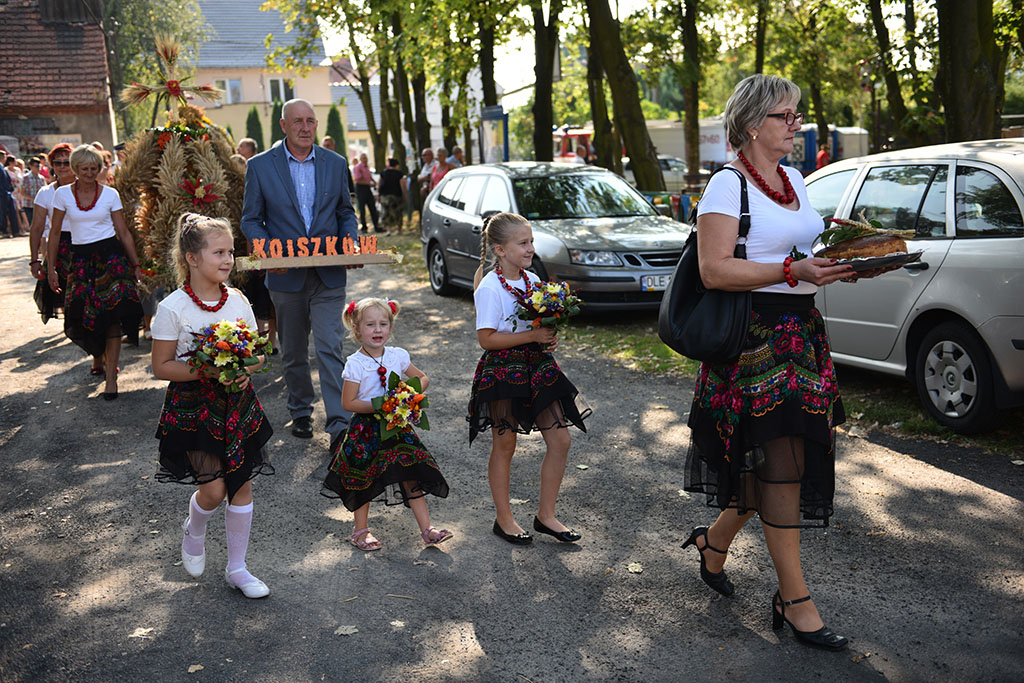 Mieszkańcy gminy Legnickie Pole bawili się na świecie plonów