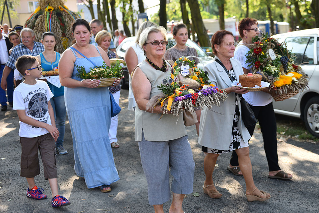 Mieszkańcy gminy Legnickie Pole bawili się na świecie plonów