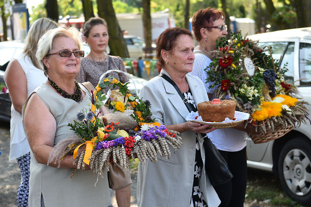 Mieszkańcy gminy Legnickie Pole bawili się na świecie plonów