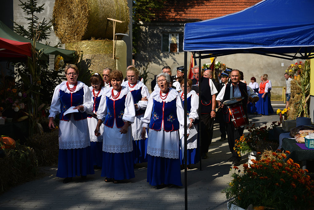 Mieszkańcy gminy Legnickie Pole bawili się na świecie plonów