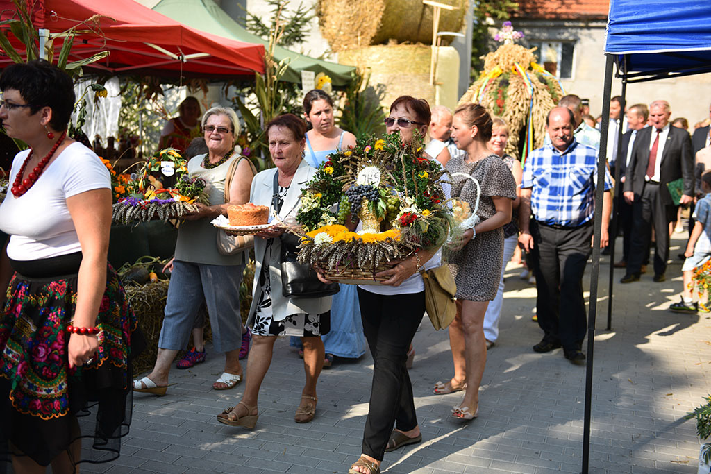 Mieszkańcy gminy Legnickie Pole bawili się na świecie plonów