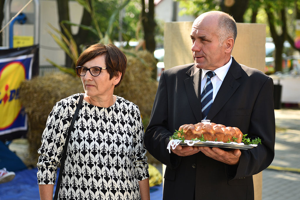 Mieszkańcy gminy Legnickie Pole bawili się na świecie plonów